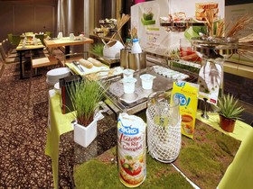 Mercure Grenoble Zentrum Alpotel Hotel