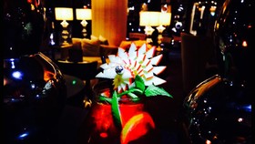 Park Hotel Grenoble - MGallery