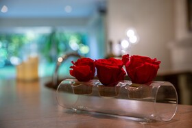 The Originals Boutique, Hotel Les Trois Roses, Grenoble Meylan