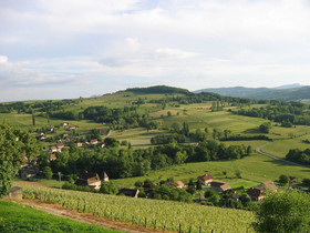 La Maison Des Vignes