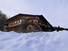 L'Ours Blanc