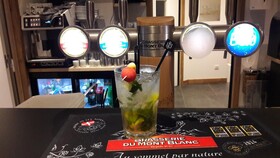 Hotel L Alpin