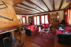 L'Aster des Alpes