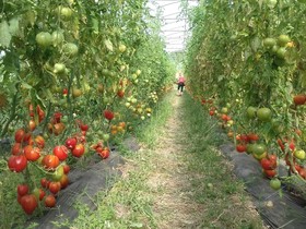 Les Jardins Du Taillefer