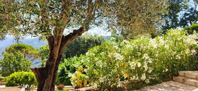 Loup Castel Boutique Hotel B&B
