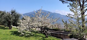 Loup Castel Boutique Hotel B&B