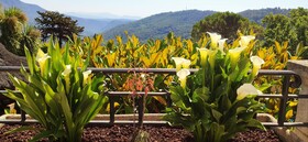 Loup Castel Boutique Hotel B&B