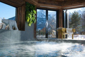 Chalet L'orpin