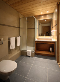 Chalet des Neiges - Arolles Residence