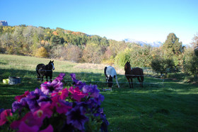 Le Clos Du Berger