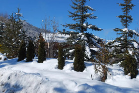 Le Clos Du Berger