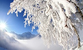 Les Flocons