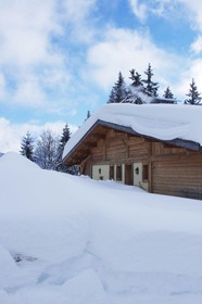 Chalet Alvine