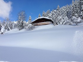 Chalet La Ferme Des Petites Frasses