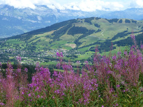 Chalet Monte-Pente