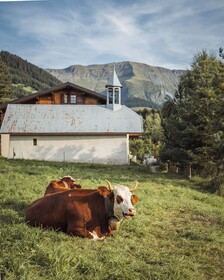 Coeur de Megeve