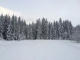 Ferme du Golf