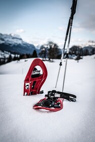 Le Chalet Zannier Hotels
