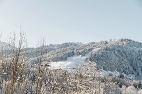 Les Chalets du Mont d'Arbois