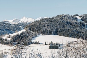 Les Chalets du Mont d'Arbois