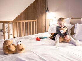 Novotel Megève Mont Blanc