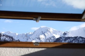Le Chamois