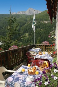Le Chamois