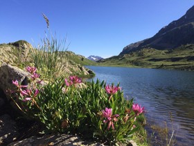 La Meije