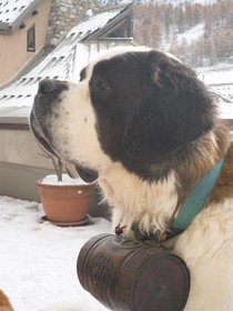 Chalet Saint Bernard