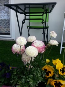 Les Jardins du Forez