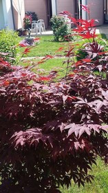 Les Jardins du Forez