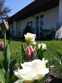 Les Jardins du Forez