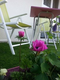 Les Jardins du Forez