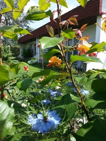 Les Jardins du Forez