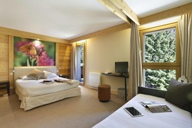 Chalet Hotel Vaccapark