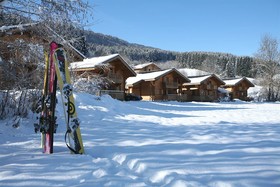 Les Chalets du Bois de Champelle