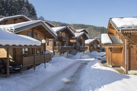 Les Chalets du Bois de Champelle