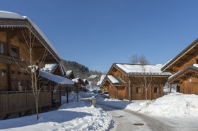 Les Chalets du Bois de Champelle