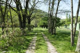 Domain Nyons Saint-Rimbert