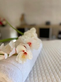 Spa Chateau La Tour