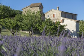 Chambre D'hotes Le Moulin D'Orpierre