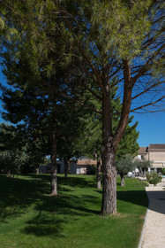 Le Domaine Des Oliviers