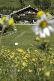 Le Fontenil