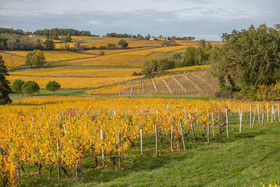 Chateau Du Palanquey