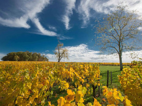 Chateau Du Palanquey