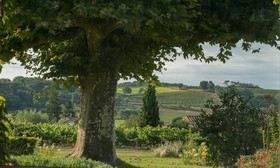Chateau Du Palanquey