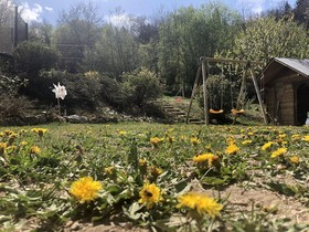 L'ours Polaire