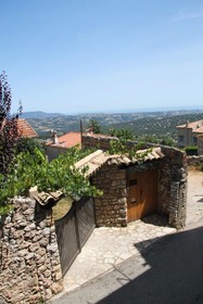 The Frogs' House