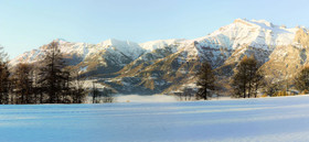 Gites L'épilobe
