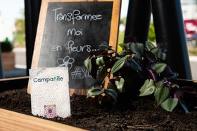 Hôtel Campanile Smart Lyon Est - Eurexpo Bron Aviation